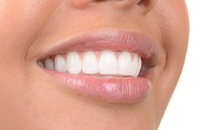 Closeup of evenly spaced teeth